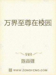 三国之志2